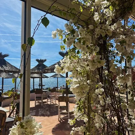 La Potiniere Hyeres